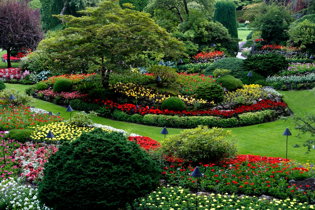 Photo landscaping