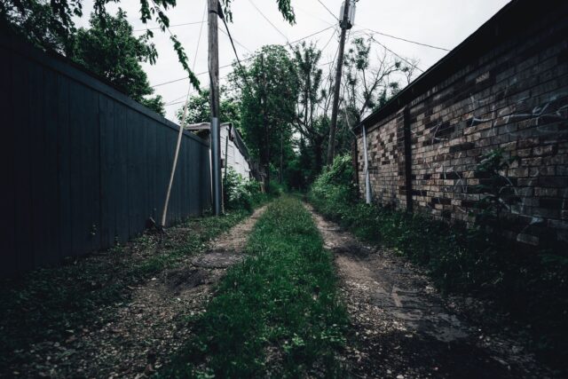 Pată de umezeală pe peretele unui apartament, fotografiată de aproape