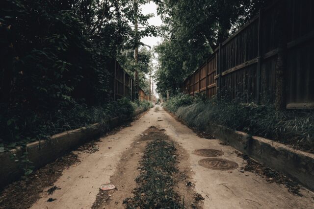 Potecă îngustă între două garduri, care duce spre o casă cu curte