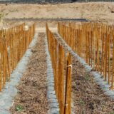 Parcelă de teren liber delimitată cu țăruși, la marginea unei localități, pregătită pentru vânzare