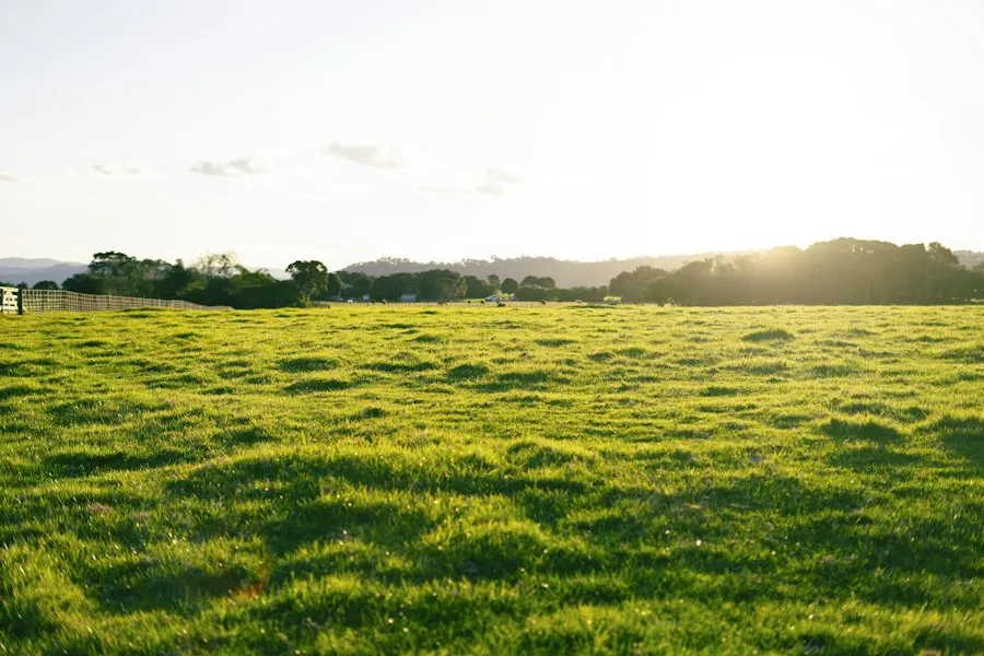 Photo land plots information