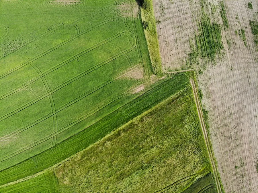 Photo common mistakes land management